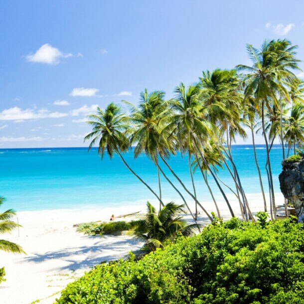 Weißer Sandstrand mit Palmen vor türkisfarbenem Meer.