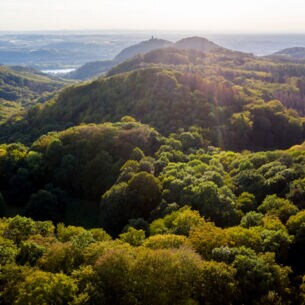 Blick auf das Siebengebirge nahe Bonn