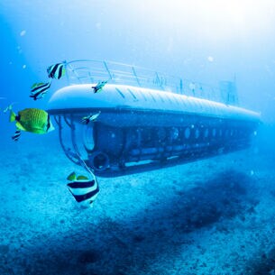 Ein U-Boot unter Wasser umgeben von bunten Fischen.