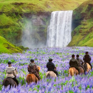 Touristen reiten im Sommer an einem Wasserfall in Island