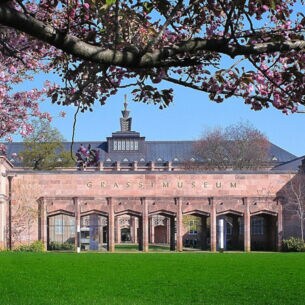 Blick auf das Grassi-Museumsgebäude, eingerahmt von Kirschblütenzweigen