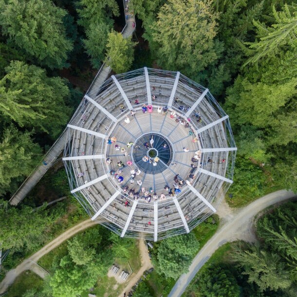 Luftaufnahme von einer Aussichtsplattform, die über die Baumkronen hinausragt