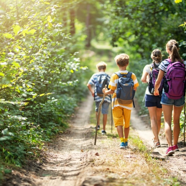 Familie von hinten beim Wandern durch den Wald