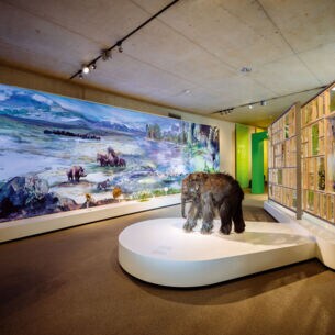 Ein Ausstellungsraum mit Darstellungen von Mammuts