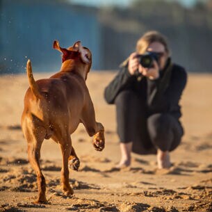Ein Hund rennt auf eine junge Frau mit Kamera zu