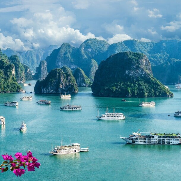 Panorama des Weltwunders der Natur Halong-Bucht mit zahlreichen Booten