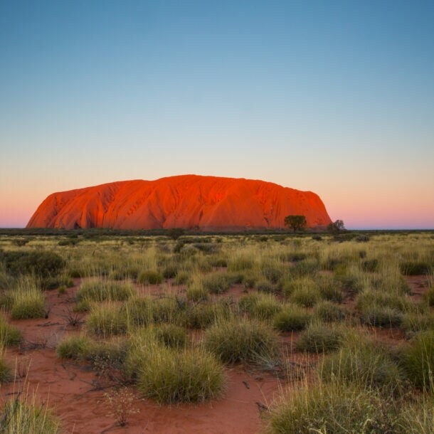 Der gigantische, rote Berg Uluru in einer Steppenlandschaft