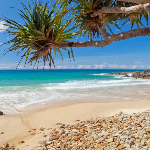 Ein Strand mit Palmen und sanfter Meeresbrandung