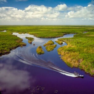 Luftbild der Everglades mit Airboat