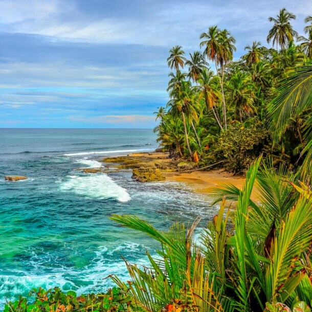 Karibischer Strand mit Palmen