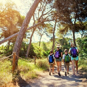 Vier Personen in Wanderkleidung spazieren durch einen Pinienwald bei Sonnenschein