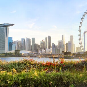 Skyline von Singapur mit Riesenrad, im Vordergrund ein begrünter Hügel mit Blumenwiese