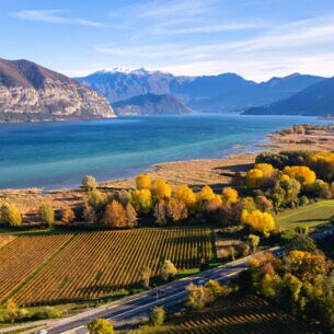 Weinbaugebiet an einem See vor Bergpanorama im Herbst