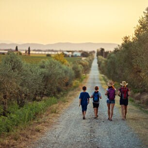 Zwei Erwachsene und zwei Kinder wandern in der Abendsonne einen Kiesweg in der Natur entlang