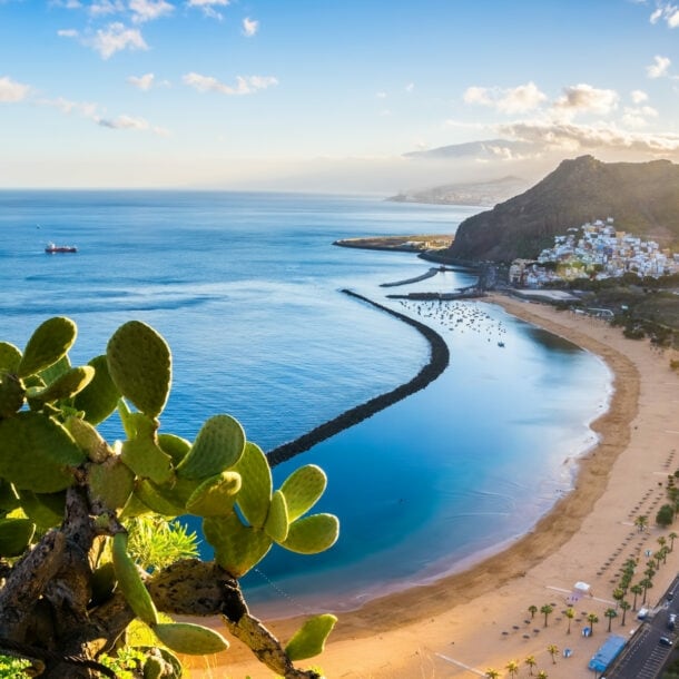 Aufsicht einer Bucht mit Sandstrand und Ortschaft, im Vordergrund Kakteen auf einem Felsvorsprung