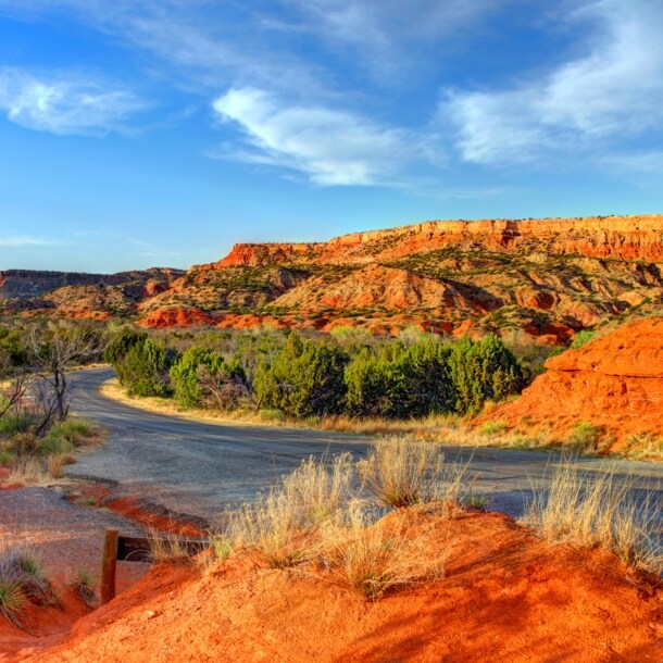 Eine Straße in einer Wüstenlandschaft mit rostroten Felsen und grünen Sträuchern unter blauem Himmel..