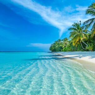 Palmengesäumter Strand auf den Malediven.