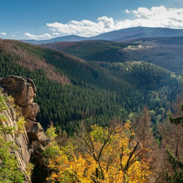 Blick über Waldlandschaft mit Gipfeln im Hintergrund im Herbst, ein Felsen im Vordergrund.