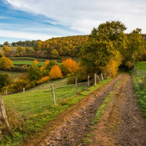 Ein Feldweg durch eine hügelige Wiesen- und Waldlandschaft im Herbst.