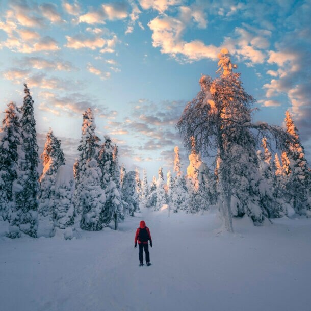 Eine Person von hinten in einem verschneiten Wald.