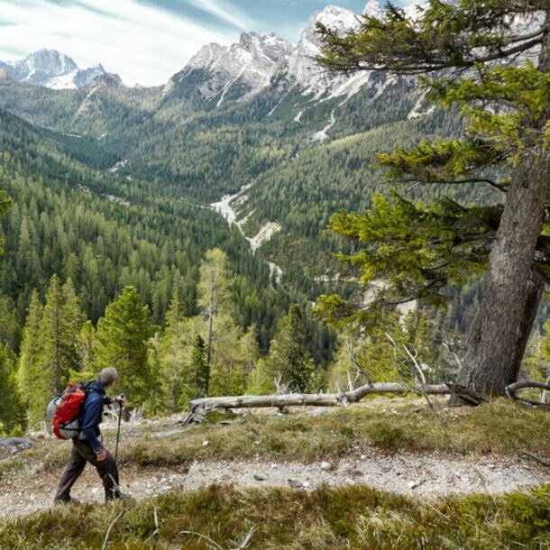 Eine Person in Wanderausrüstung auf einem bewaldeten Weg, im Hintergrund hohe Berge.