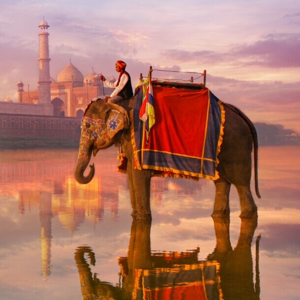 Ein indischer Mann sitzt auf einem geschmückten Elefanten an einem Fluss vor dem Taj Mahal im Sonnenuntergang.