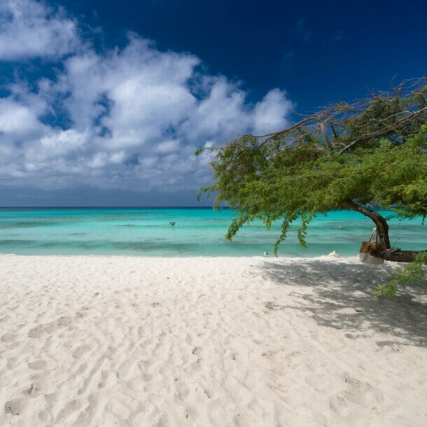 Weißer Sandstrand mit einem Baum vor türkisfarbenem Meer.