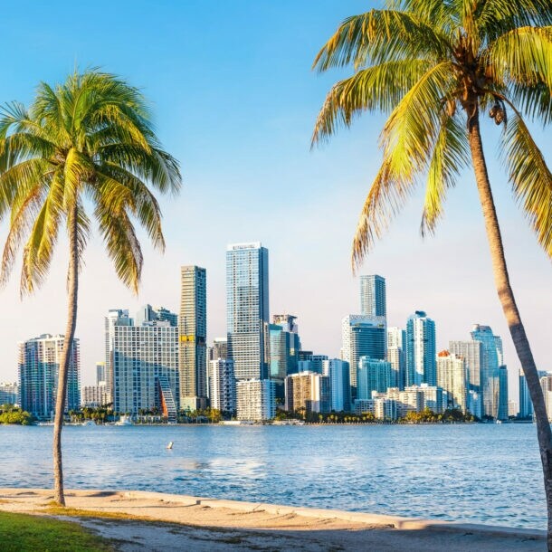 Blick auf die Skyline von Miami mit Wasser und Palmen am Strand im Vordergrund