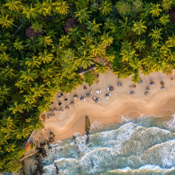 andstrand mit Sonnenliegen an Kokospalmenwald aus der Vogelperspektive.