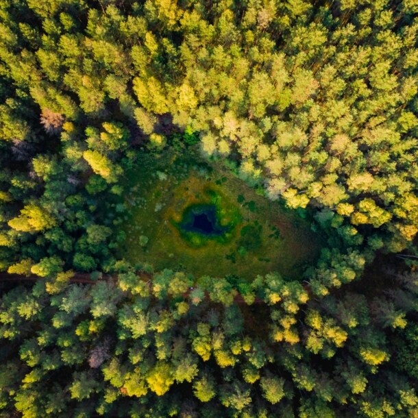 Drohnenaufnahme einer Waldlandschaft von oben in dessen Mitte ein kleiner See ist.
