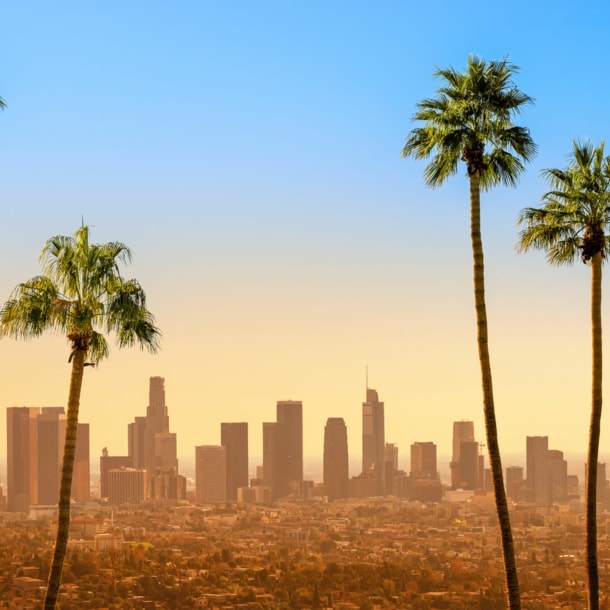 Skyline von Downtown Los Angeles im gelben Licht unter blauem Himmel, im Vordergrund fünf Palmen.