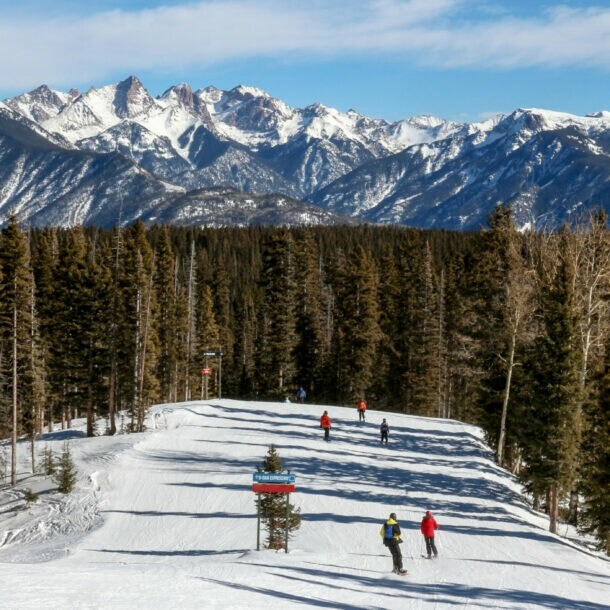 Skifahrer auf einer breiten, schneebedeckten Piste umgeben von hohen Tannen und Bergen im Hintergrund unter blauem Himmel
