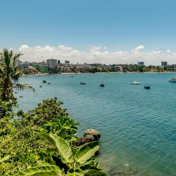 Küstenlinie mit grüner Vegetation und mehreren Booten auf ruhigem blauem Wasser unter bewölktem Himmel