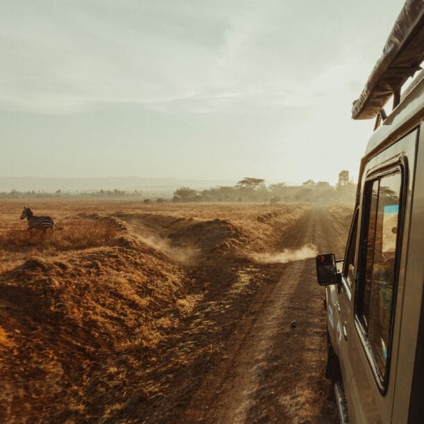 Safari-Fahrzeug fährt auf staubiger Piste durch afrikanische Savanne mit Zebras am Rand
