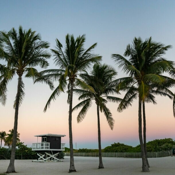 Ausschnitt des Miami South Beach bei Sonnenuntergang, mit Palmen und Lifeguard-Häuschen.