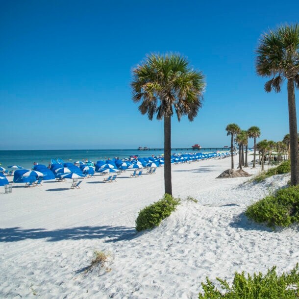 Blau-weiße Sonnenschirme und Cabanas sowie Palmen schmücken den puderweißen Strand von Clearwater, im Hintergrund thronen Hotelanlagen und Hochhäuser.