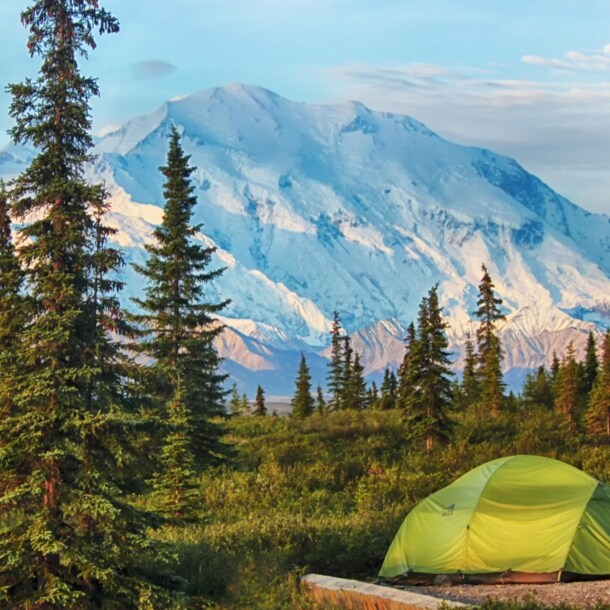 Grünes Zelt auf einer Wiese mit Nadelbäumen vor schneebedecktem Berg unter blauem Himmel
