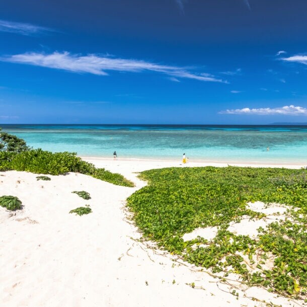 Weitläufiger weißer Sandstrand mit grünen Pflanzen am türkisfarbenen Meer unter blauem Himmel.