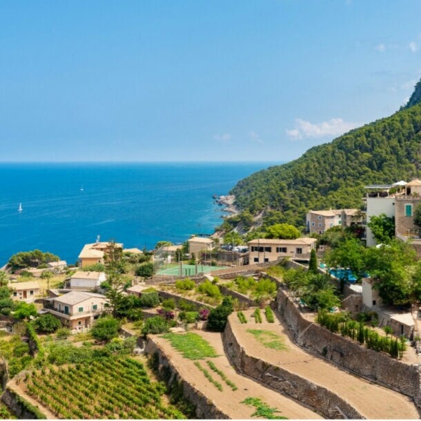 Blick auf terrassierte Weinberge und Häuser an der Küste mit grün bewaldeten Hügeln und blauem Himmel.