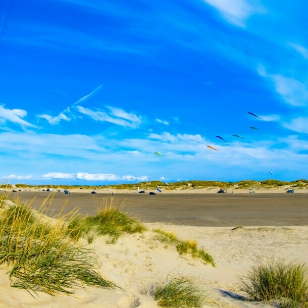 Bunte Drachen am blauen Himmel des Lakolk Strands auf der dänischen Insel Rømø.