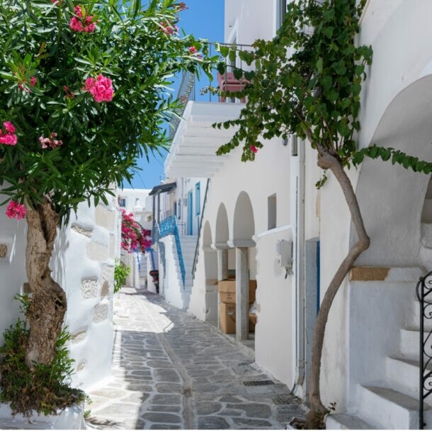 Enger gepflasterter Gehweg zwischen weißen Häusern mit blühendem Oleanderbaum und einer Treppe mit schwarzem Geländer unter blauem Himmel