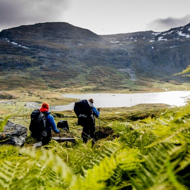 Zwei Wanderer mit Rucksäcken gehen durch eine grüne Farnlandschaft in den Bergen, im Hintergrund ein See und bewaldete Hügel.