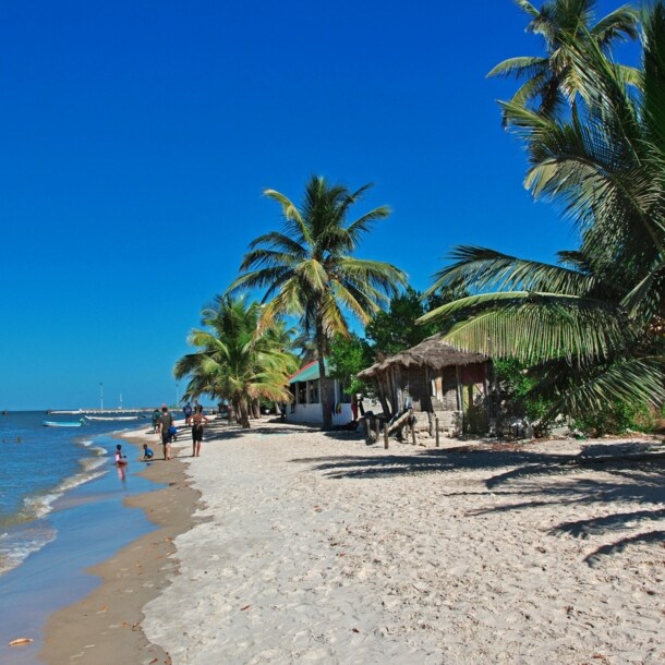 Personen an einem tropischen Sandstrand mit Palmen unter blauem Himmel.