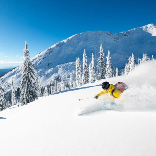Ein Skifahrer fährt im Tiefschnee einen Hang mit Tannen hinunter vor verschneitem Bergpanorama unter blauem Himmel bei Sonnenschein.