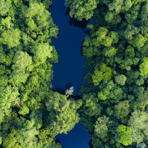 Luftaufnahme eines schmalen, dunkelblauen Flusses, der von dichtem, grünem Regenwald umgeben ist, im Taman Negara Nationalpark.
