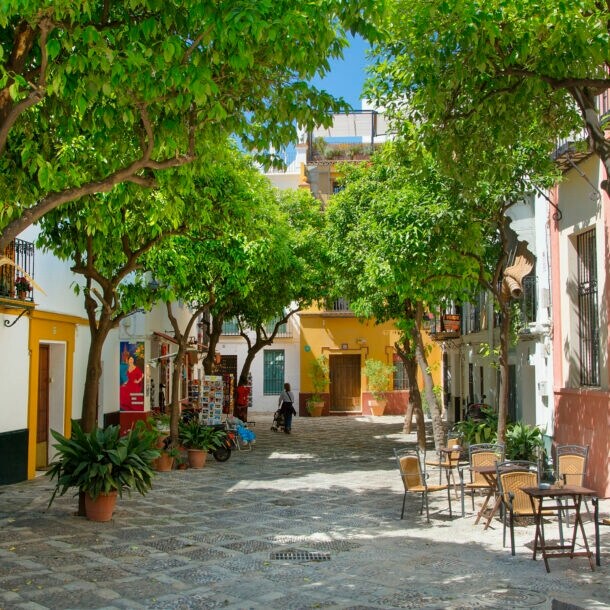 Über einem ruhigen urigen Platz in Sevilla spenden grüne Bäume Schatten.