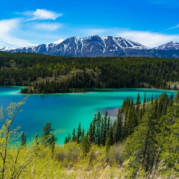 Blick auf den türkisfarbenen Emerald Lake im Yukon, mit grünem Nadelwald und schneebedeckten Bergen im Hintergrund.