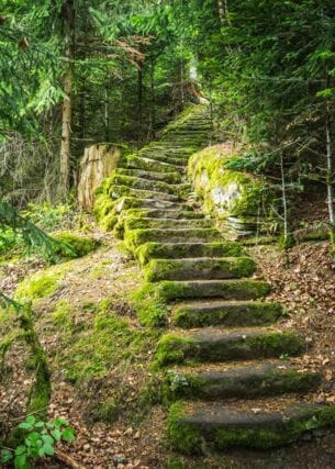 Steile, moosbewachsene Steintreppe im Wald