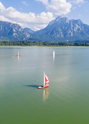 Mehrere kleine Segelboote segeln auf einem See vor einer Bergkulisse
