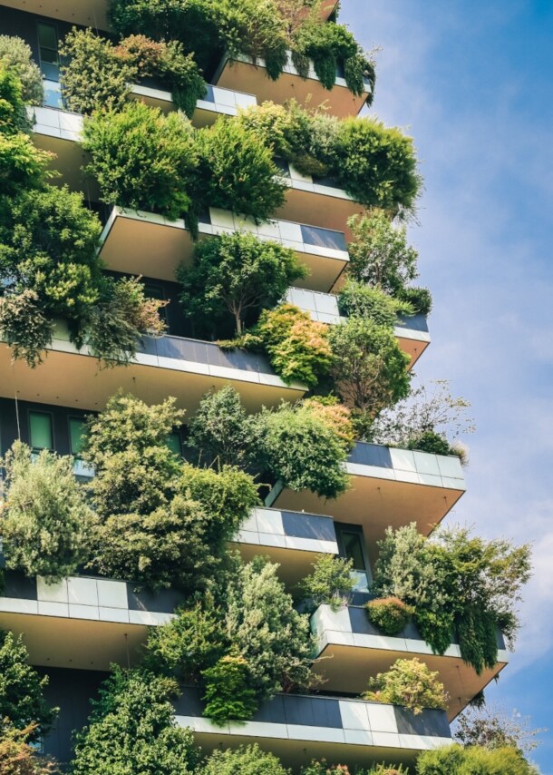 Eine begrünte Hausfassade